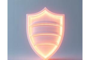 Illustration of a protective shield, indicating disclaimers and limitations